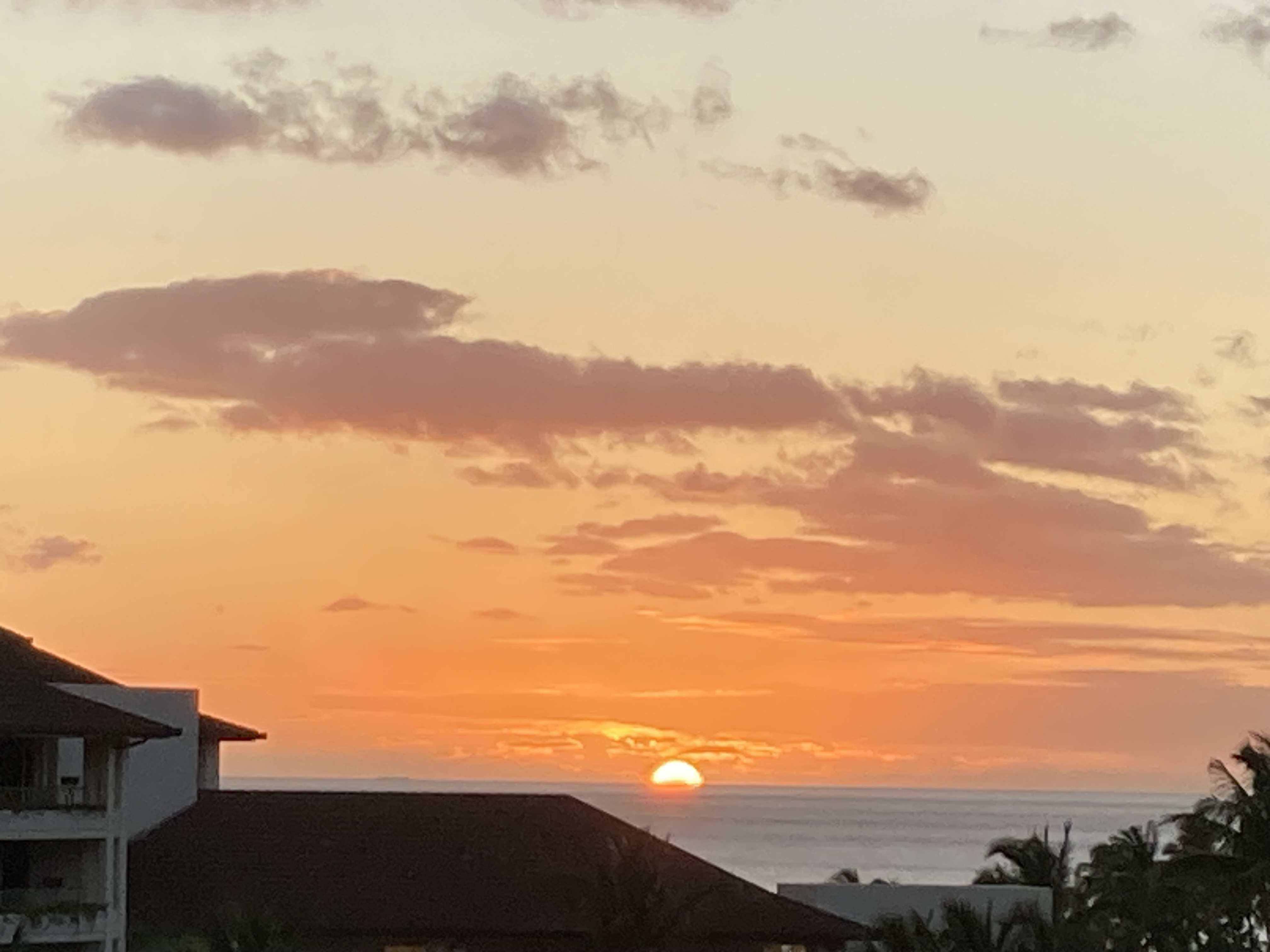Aulani ocean view