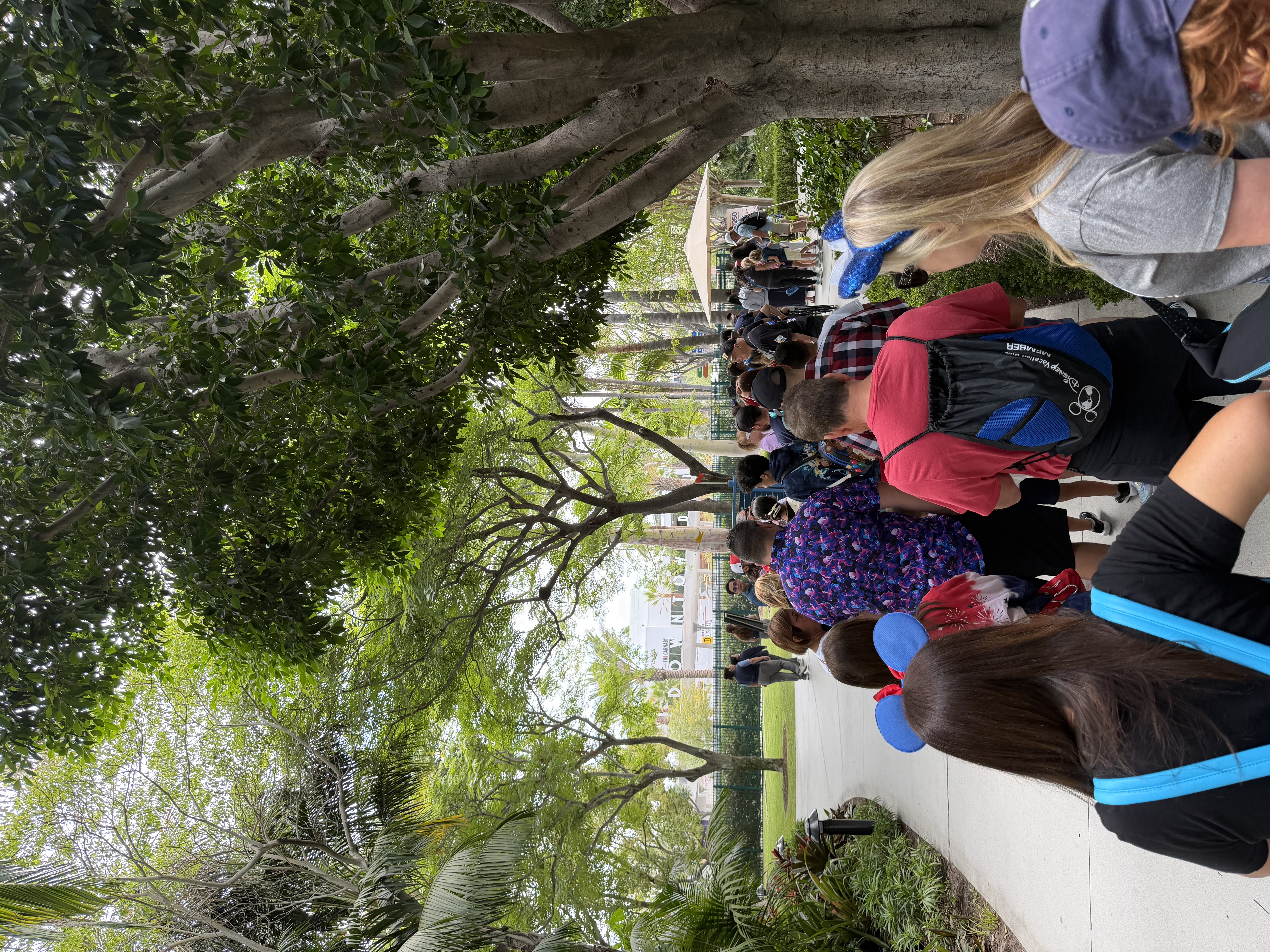 Check In Line
