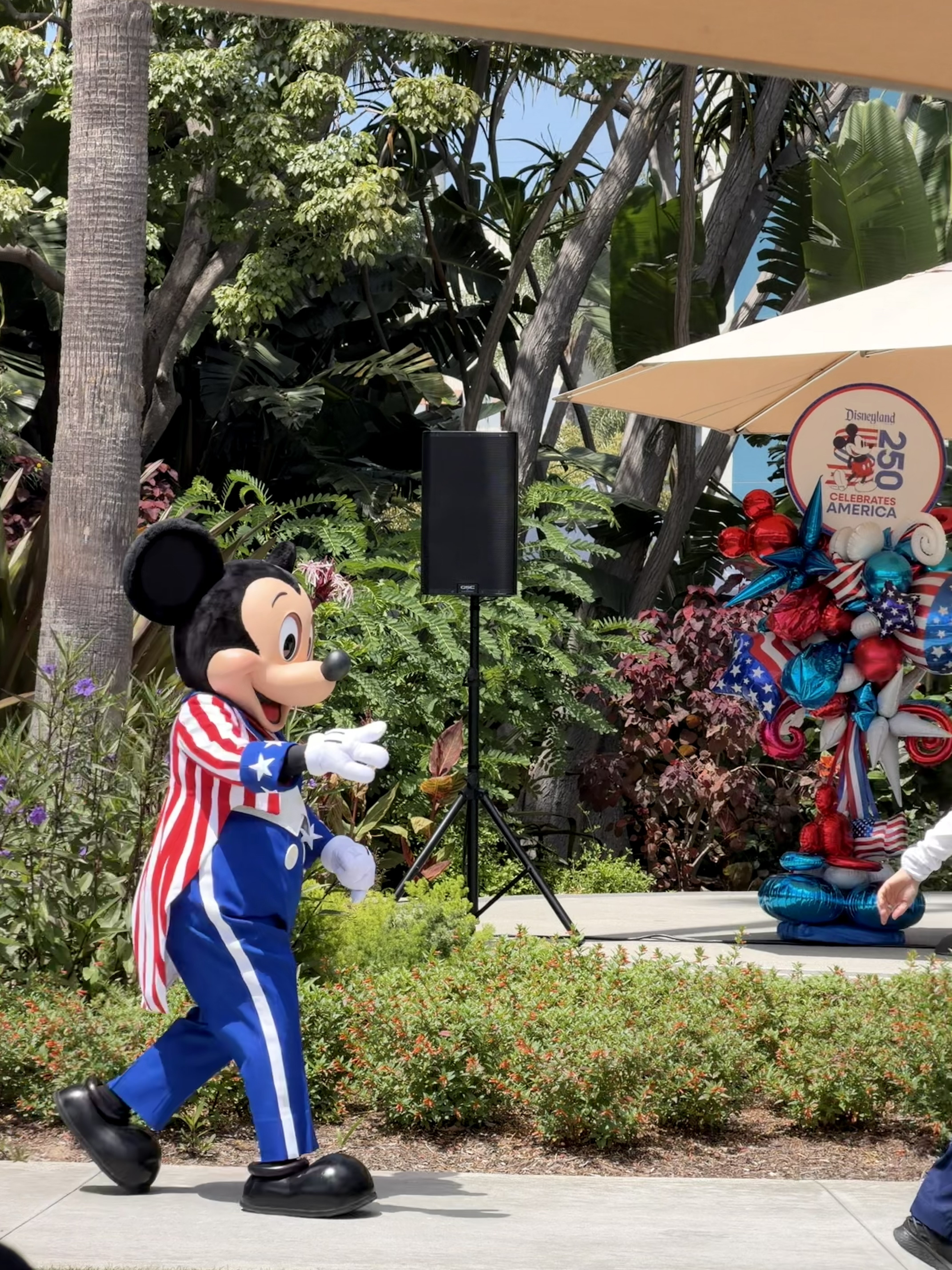 4th of July Mickey