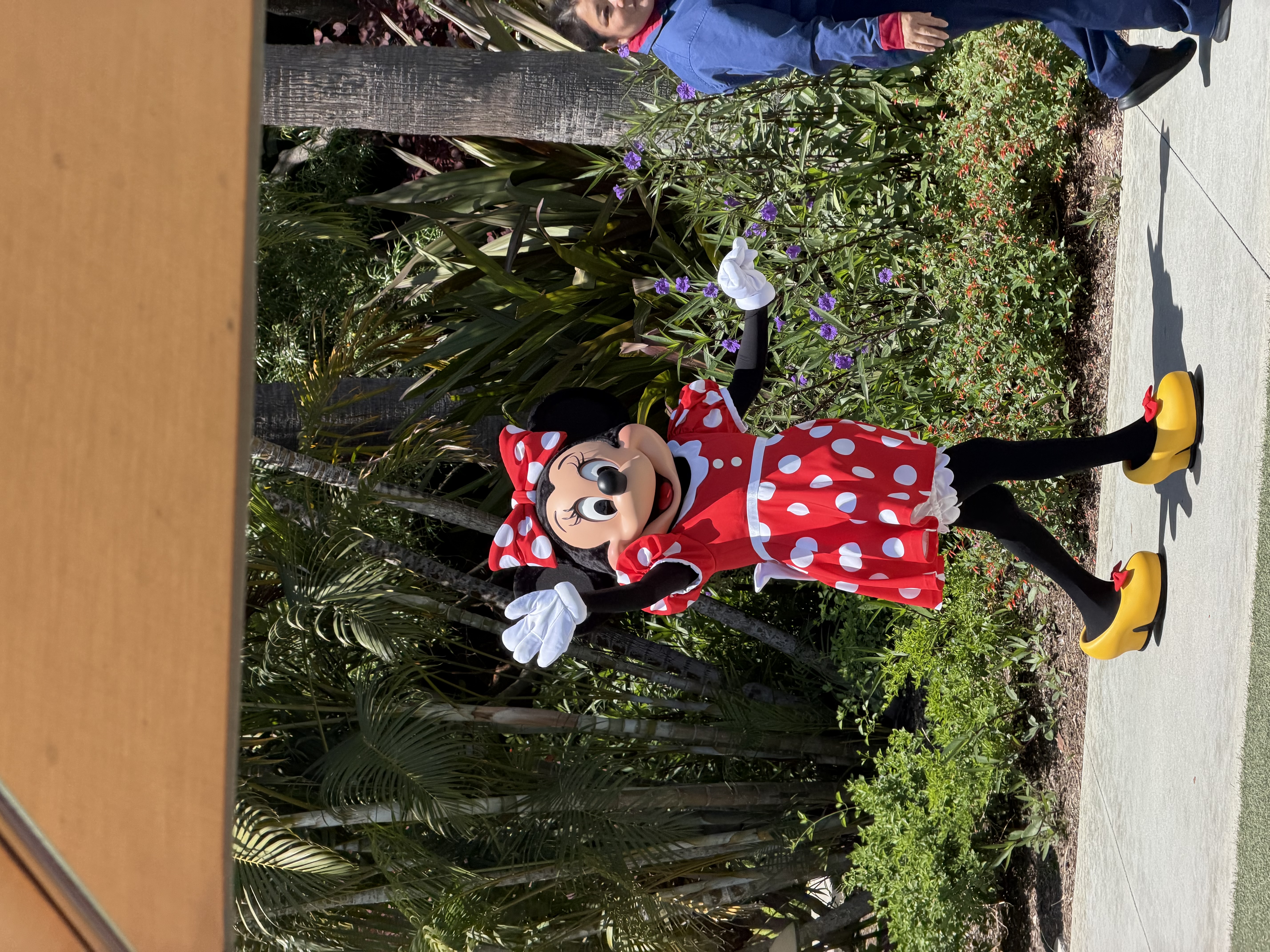 Minnie Mouse