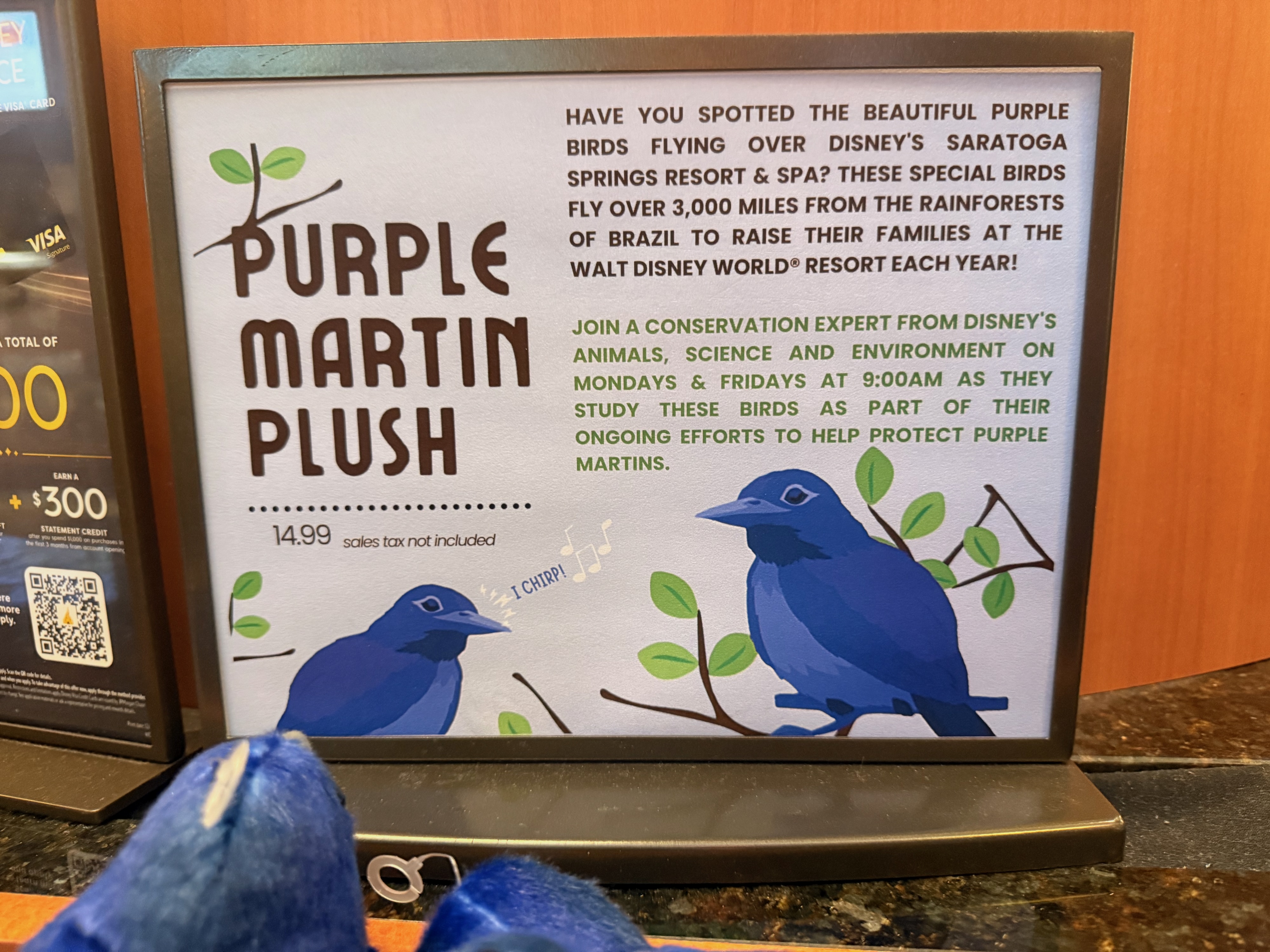Purple Martins